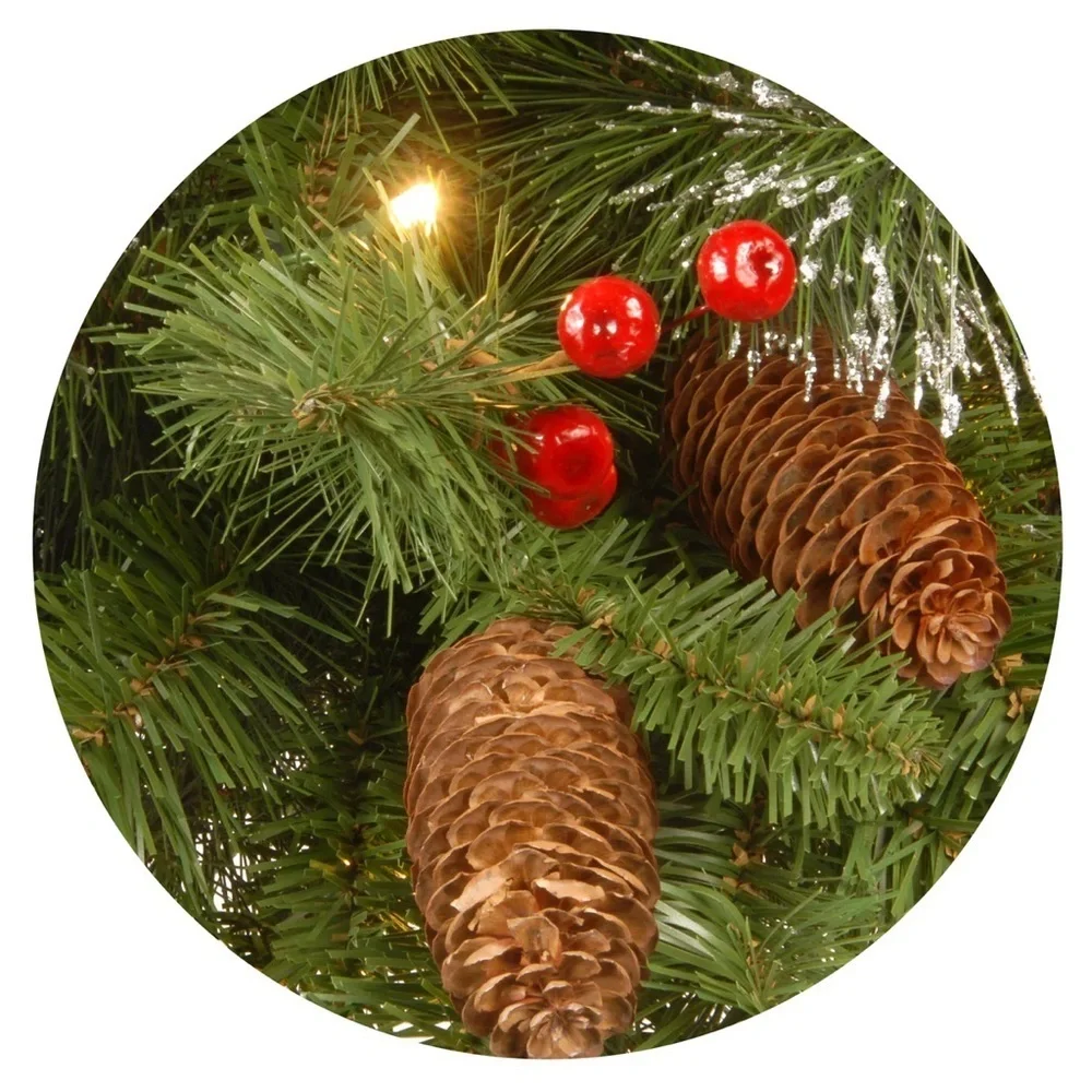 National Tree Company national tree